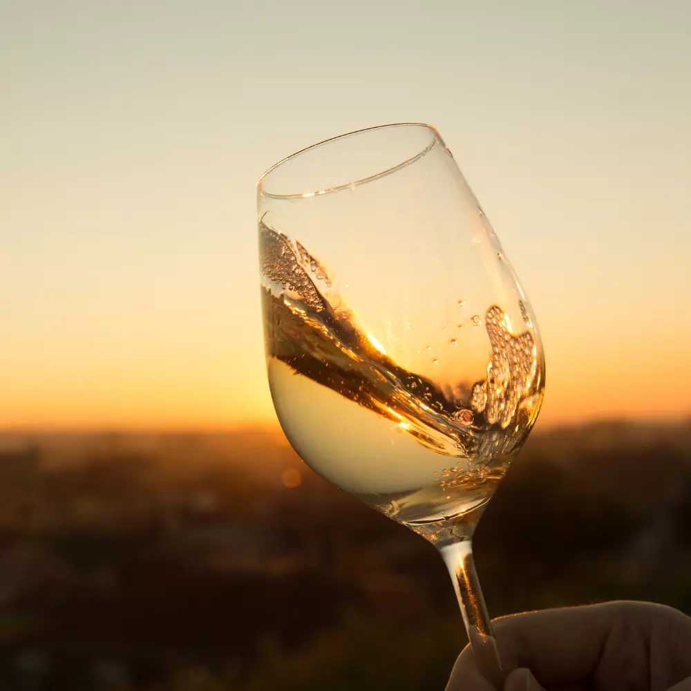 chardonnays wine