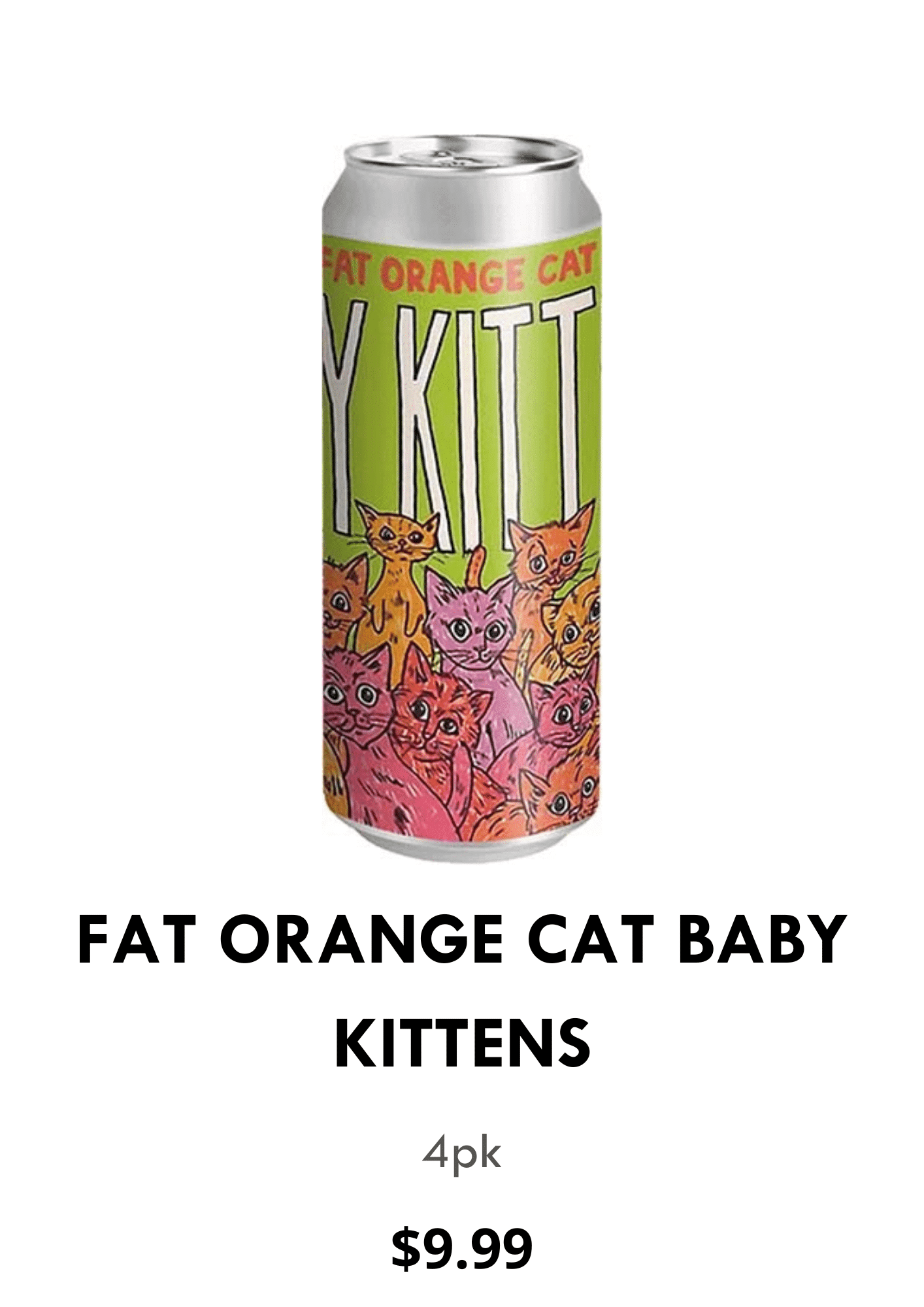 FAT-ORANGE-CAT-BABY-KITTENS